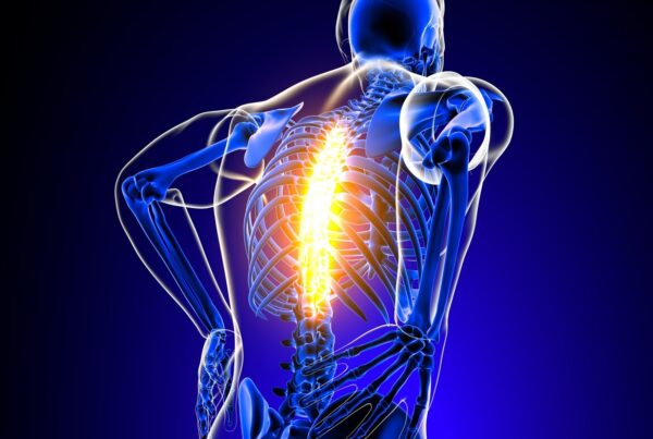 Illustration of a human skeleton seen from behind with the spine highlighted