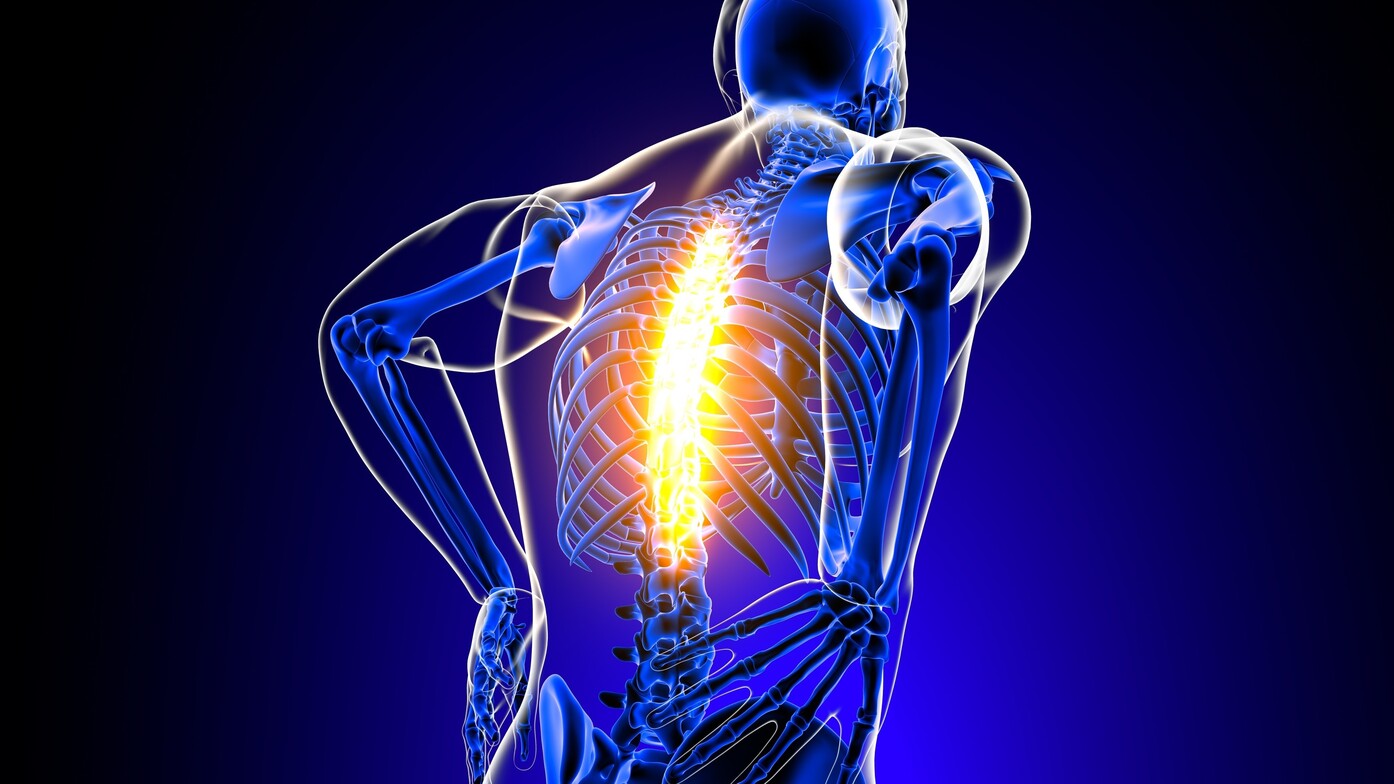 Illustration of a human skeleton seen from behind with the spine highlighted